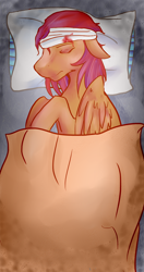 Size: 800x1513 | Tagged: safe, artist:conmanwolf, oc, oc only, oc:orion comet, pony, ask factory scootaloo, bandage, blanket, blood, comic, pillow