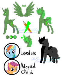 Size: 1024x1247 | Tagged: safe, artist:thegoatnamedlayla, oc, oc only, oc:green thunder, alicorn, pony, alicorn oc, canon x oc, female, male, never doubt blaa6 involvement, parent:oc:green thunder, parent:rainbow dash, parents:canon x oc, reference sheet, scootadoption