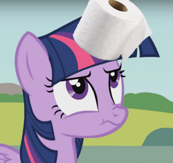 Size: 600x564 | Tagged: safe, edit, edited screencap, screencap, twilight sparkle, twilight sparkle (alicorn), alicorn, pony, horn grab, horn impalement, looking up, solo, the uses of unicorn horns, toilet paper, twilight is not amused, unamused