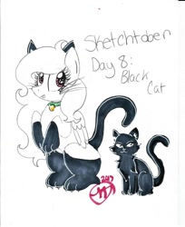 Size: 1024x1256 | Tagged: safe, artist:crystalizedflames, oc, oc only, oc:morning glory, pegasus, pony, animal costume, black cat, cat costume, clothes, costume, female, mare, partial color, sitting, socks, solo