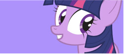 Size: 400x176 | Tagged: safe, artist:dm29, twilight sparkle, purple background, simple background, smiling, solo