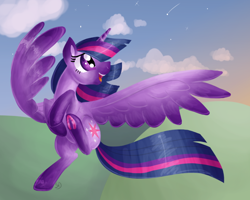 Size: 1000x800 | Tagged: safe, artist:sallindaemon, twilight sparkle, twilight sparkle (alicorn), alicorn, pony, female, flying, mare, open mouth, sky, smiling, solo