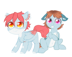 Size: 3492x2748 | Tagged: safe, artist:rizzych, oc, oc only, oc:curtain fire, oc:raging fire, pegasus, pony, colored wings, colt, ear fluff, floppy ears, male, protecting, scar, simple background, smol, transparent background