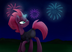 Size: 1024x737 | Tagged: safe, artist:bonsia-lucky, fizzlepop berrytwist, tempest shadow, pony, my little pony: the movie, broken horn, eye scar, female, fireworks, mare, night, scar, smiling, solo