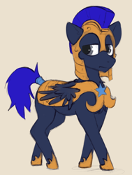 Size: 900x1192 | Tagged: safe, artist:marsminer, oc, oc only, oc:dogepony, royal guard, solo