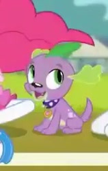 Size: 180x284 | Tagged: safe, screencap, spike, spike the regular dog, dog, better together, equestria girls, the finals countdown, cropped, male, paws, puppy, smiling