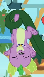 Size: 491x844 | Tagged: safe, screencap, spike, spike the regular dog, dog, equestria girls, equestria girls series, my little shop of horrors, cropped, eyes closed, male, paws, puppy, underpaw, upside down