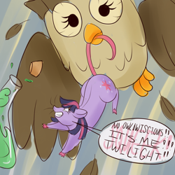 Size: 1280x1280 | Tagged: safe, artist:askamberfawn, owlowiscious, twilight sparkle, mouse, dialogue, flask, food chain, imminent vore, mousified, mouth hold, potion, predator, prey, species swap, squeak, transformation, twimouse