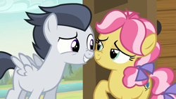 Size: 1631x923 | Tagged: safe, screencap, kettle corn, rumble, earth pony, pegasus, pony, marks and recreation, boop, colt, duo, female, filly, foal, lidded eyes, male, nose to nose, nose wrinkle, noseboop, shipping fuel, smiling