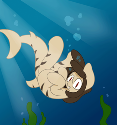 Size: 1511x1612 | Tagged: safe, artist:lou, oc, oc only, oc:louvely, hybrid, merpony, original species, pony, shark, shark pony, pregnant, swimming, underwater