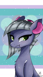 Size: 1080x1920 | Tagged: safe, artist:dashy21, limestone pie, earth pony, pony, :t, earmuffs, female, mare, snow, unamused