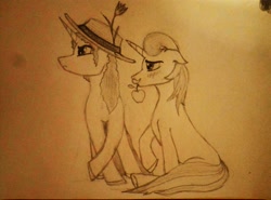 Size: 4192x3104 | Tagged: safe, artist:crazyparrot, flam, flim, pony, apple, blushing, flim flam brothers, food, monochrome, traditional art