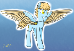 Size: 1381x955 | Tagged: safe, artist:zephyr!, oc, oc only, oc:summerskies, pegasus, pony, gradient background, jewelry, male, necklace, solo, stallion, sun, wind, wind blown hair, windswept mane