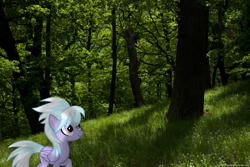 Size: 3286x2200 | Tagged: safe, artist:swearn, cloudchaser, pony, forest, high res, irl, photo, ponies in real life, solo, tree