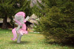 Size: 6000x4000 | Tagged: safe, artist:stormxf3, oc, oc only, oc:sweet shutter, irl, photo, ponies in real life, solo