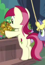 Size: 180x255 | Tagged: safe, screencap, roseluck, it isn't the mane thing about you, bipedal, cropped, plot