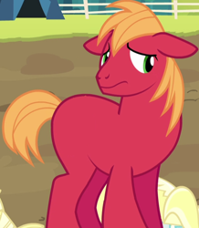 Size: 428x490 | Tagged: safe, edit, edited screencap, screencap, big macintosh, brotherhooves social, cropped, cute, floppy ears, macabetes, missing accessory, missing cutie mark, nervous, nude edit, nudity