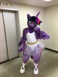 Size: 3024x4032 | Tagged: safe, twilight sparkle, twilight sparkle (alicorn), alicorn, 2017, ballerina, ballet, clothes, cosplay, costume, fursuit, irl, japan ponycon, leotard, photo, tutu, twilarina