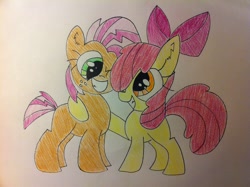 Size: 2592x1936 | Tagged: safe, artist:anonymousnekodos, apple bloom, babs seed, pony, hug, one eye closed, smiling, traditional art