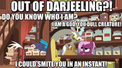 Size: 883x497 | Tagged: safe, screencap, discord, jasmine leaf, draconequus, pony, discordant harmony, angry, darjeeling, female, food, image macro, mare, meme, tea, tea shop, the avengers