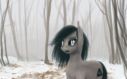 Size: 1000x625 | Tagged: safe, artist:ninthsphere, oc, oc only, oc:helen, forest, snow, solo, winter