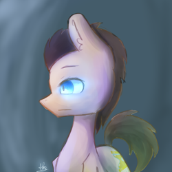 Size: 3543x3543 | Tagged: safe, artist:ophake, doctor whooves, earth pony, pony, male, signature, solo, stallion