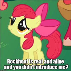 Size: 656x657 | Tagged: safe, edit, edited screencap, screencap, apple bloom, friendship is magic, shadow play, image macro, implied rockhoof, meme