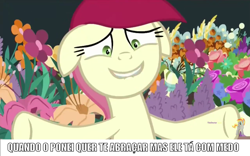 Size: 1280x800 | Tagged: safe, edit, edited screencap, screencap, roseluck, earth pony, pony, it isn't the mane thing about you, awkward, brazil, dialogue, faic, female, floppy ears, flower, grin, image macro, mare, meme, portuguese, smiling, solo, text, translated in the comments