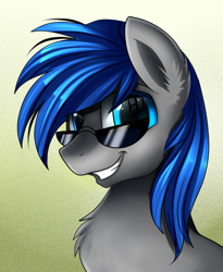 Size: 1443x1764 | Tagged: safe, artist:pridark, oc, oc only, pony, looking at you, male, smiling, solo, stallion, sunglasses