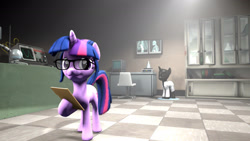 Size: 1920x1080 | Tagged: safe, artist:jojobibou, sci-twi, twilight sparkle, pony, unicorn, 3d, clothes, equestria girls ponified, glasses, lab coat, mannequin, ponified, solo, source filmmaker, x-ray, x-ray picture