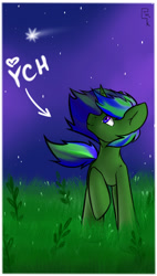 Size: 1698x3000 | Tagged: safe, artist:dark_nidus, derpibooru import, oc, pony, unicorn, commission, flower, grass, grass field, outdoors, sky, stars, your character here