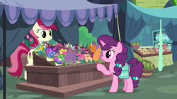 Size: 1920x1080 | Tagged: safe, derpibooru import, screencap, roseluck, sugar belle, earth pony, pony, unicorn, the big mac question, bag, duo, eye contact, female, flower, flower shop, looking at each other, mare, saddle bag