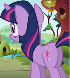 Size: 518x576 | Tagged: safe, derpibooru import, screencap, twilight sparkle, unicorn twilight, unicorn, swarm of the century, butt, cropped, female, mare, plot, solo, twibutt