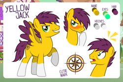 Size: 4000x2661 | Tagged: safe, artist:jennieoo, derpibooru import, oc, oc only, oc:yellow jack, pegasus, pony, blushing, compass rose, cutie mark, pegasus oc, reference sheet, smiling, smiling at you, socks (coat marking), solo, surprised, wings