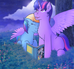 Size: 3128x2914 | Tagged: safe, artist:legionsunite, derpibooru import, rainbow dash, twilight sparkle, twilight sparkle (alicorn), alicorn, pegasus, pony, book, chest fluff, daring do and the sapphire statue, daring do book, female, hug, lesbian, looking up, night, redraw, shipping, sitting, starry night, stars, twidash, winghug