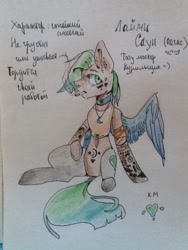 Size: 1620x2160 | Tagged: safe, artist:ellis_sunset, derpibooru import, oc, oc only, pegasus, pony, choker, cigarette, cyrillic, one wing out, pegasus oc, reference sheet, sitting, smoking, solo, tattoo, traditional art, wings