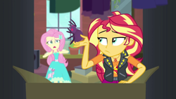 Size: 1920x1080 | Tagged: safe, derpibooru import, screencap, fluttershy, sunset shimmer, spider, better together, costume conundrum, equestria girls