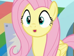 Size: 830x623 | Tagged: safe, derpibooru import, screencap, fluttershy, pegasus, pony, she's all yak, :o, open mouth