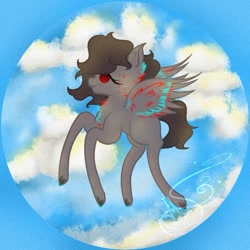 Size: 711x711 | Tagged: safe, artist:nel_liddell, derpibooru import, oc, oc only, pegasus, pony, chest fluff, cloud, flying, pegasus oc, signature, solo, wings