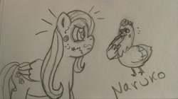 Size: 4000x2244 | Tagged: safe, artist:wrath-marionphauna, derpibooru exclusive, derpibooru import, fluttershy, bird, chicken, pegasus, pony, face doodle, laughing, pencil drawing, requested art, stare, the stare, traditional art, wing hands, wings