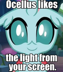 Size: 448x510 | Tagged: safe, derpibooru import, screencap, ocellus, changedling, changeling, uprooted, breaking the fourth wall, bugs doing bug things, caption, cropped, cute, diaocelles, female, fourth wall, image macro, looking at you, meta, smiling, solo, text