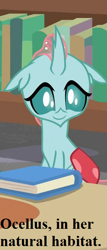 Size: 273x637 | Tagged: safe, derpibooru import, edit, edited screencap, screencap, ocellus, changedling, changeling, what lies beneath, book, bookbug, bookshelf, cropped, cute, diaocelles, library, school of friendship, text