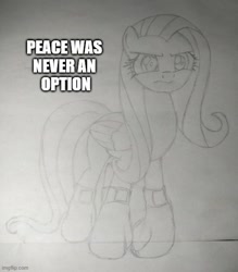 Size: 500x571 | Tagged: safe, artist:cobra0281, derpibooru import, fluttershy, pegasus, pony, angery, angry, boxing gloves, grayscale, monochrome, peace was never an option, pencil drawing, photo, ponified animal photo, solo, traditional art