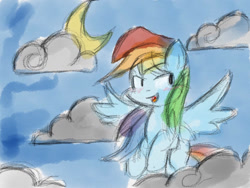 Size: 1024x768 | Tagged: safe, artist:ameliayap, derpibooru import, rainbow dash, pegasus, pony, female, moon, night, solo