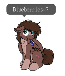 Size: 695x812 | Tagged: safe, artist:rokosmith26, derpibooru import, oc, oc only, pegasus, pony, blue eyes, blueberry, brown mane, cheek fluff, chest fluff, chibi, coat markings, cute, floppy ears, food, leaf, looking up, male, short hair, short mane, simple background, sitting, solo, spread wings, stallion, tail, text, transparent background, wings