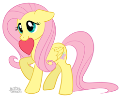 Size: 705x573 | Tagged: safe, artist:nauticaldog, derpibooru import, fluttershy, pegasus, pony, cute, female, heart, mouth hold, shyabetes, simple background, solo, white background