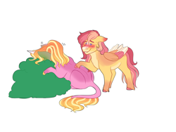 Size: 2000x1500 | Tagged: safe, artist:uunicornicc, derpibooru import, luster dawn, oc, oc:strawberry sunrise, pegasus, pony, bush, colored wings, female, implied vomit, mare, multicolored wings, simple background, white background, wings