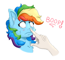 Size: 2076x1904 | Tagged: safe, artist:nedemai, derpibooru import, rainbow dash, pegasus, pony, blushing, boop, chest fluff, disembodied hand, ear fluff, female, hand, simple background, solo, this will end in pain and/or death, white background
