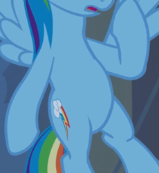 Size: 461x501 | Tagged: safe, derpibooru import, screencap, rainbow dash, pegasus, pony, castle mane-ia, belly, cropped, female, flying, open mouth, pictures of bellies, solo