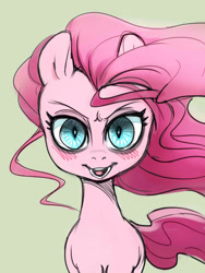 Size: 1200x1600 | Tagged: safe, artist:noupie, derpibooru import, pinkie pie, earth pony, pony, female, solo, windswept mane